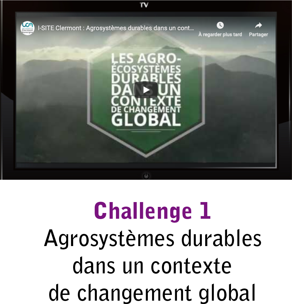 Challenge 1 : Agrosystèmes durables dans un contexte de changement global