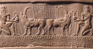 Bas-reliefs sumériens représentant la traite des vaches et le caillage