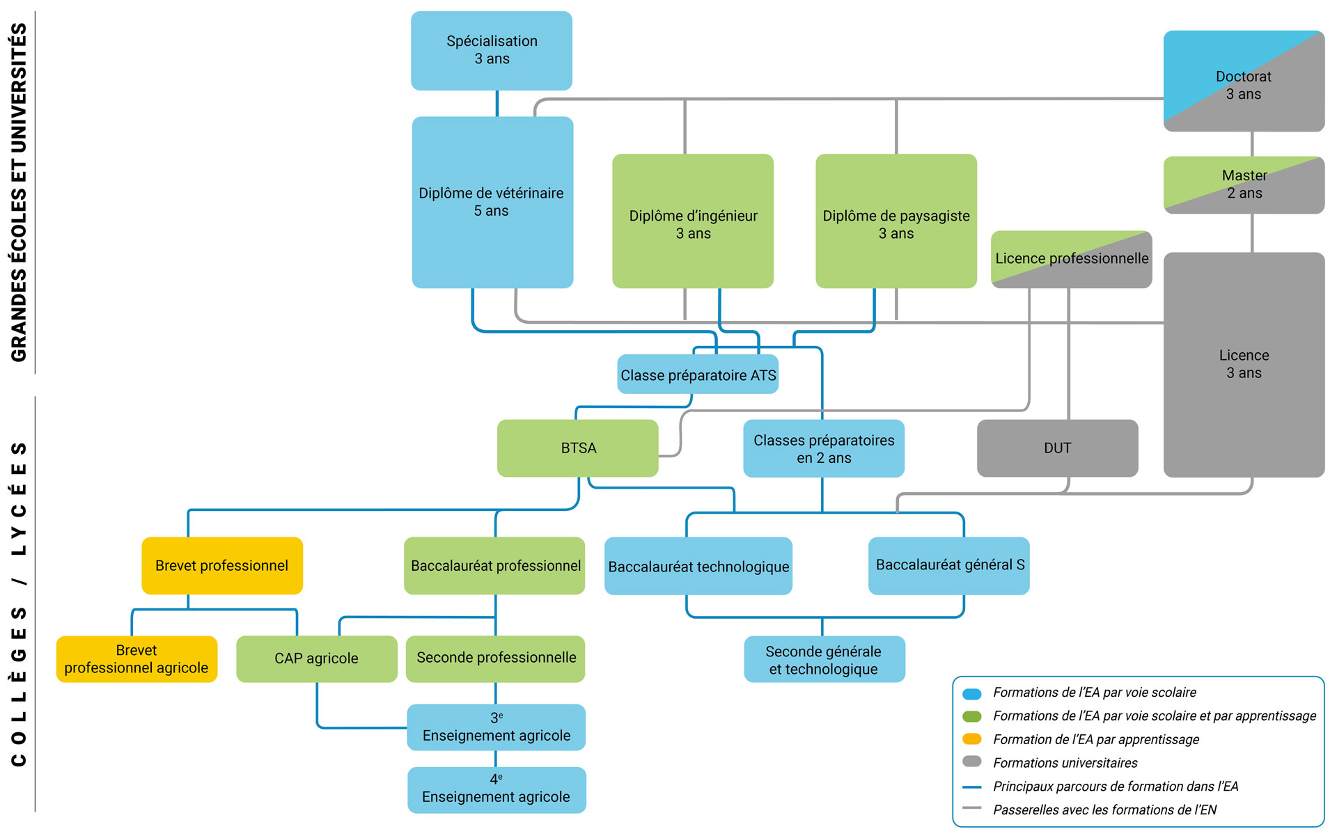 Organigramme des différentes formations proposées par l’enseignement agricole (EA) du secondaire au doctorat. De nombreuses passerelles existent entre l’enseignement agricole et enseignement général (en gris)