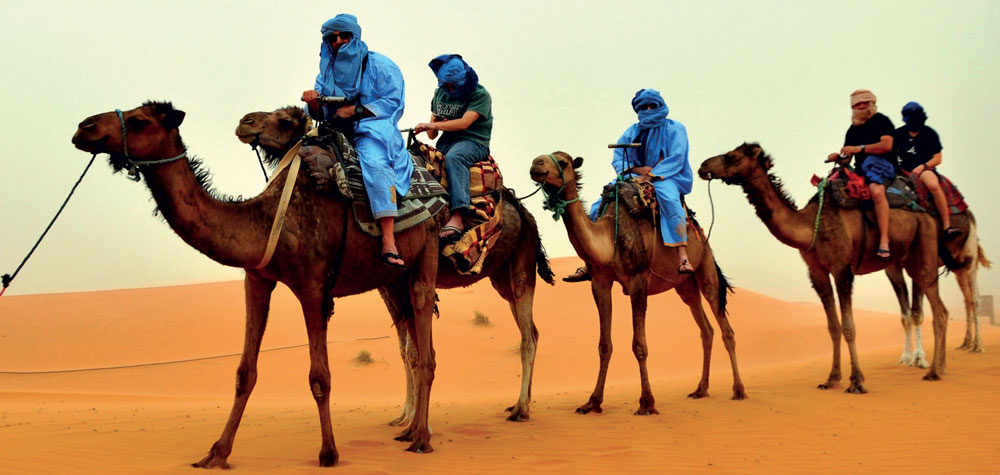 Méharé touristique dans le Sahara