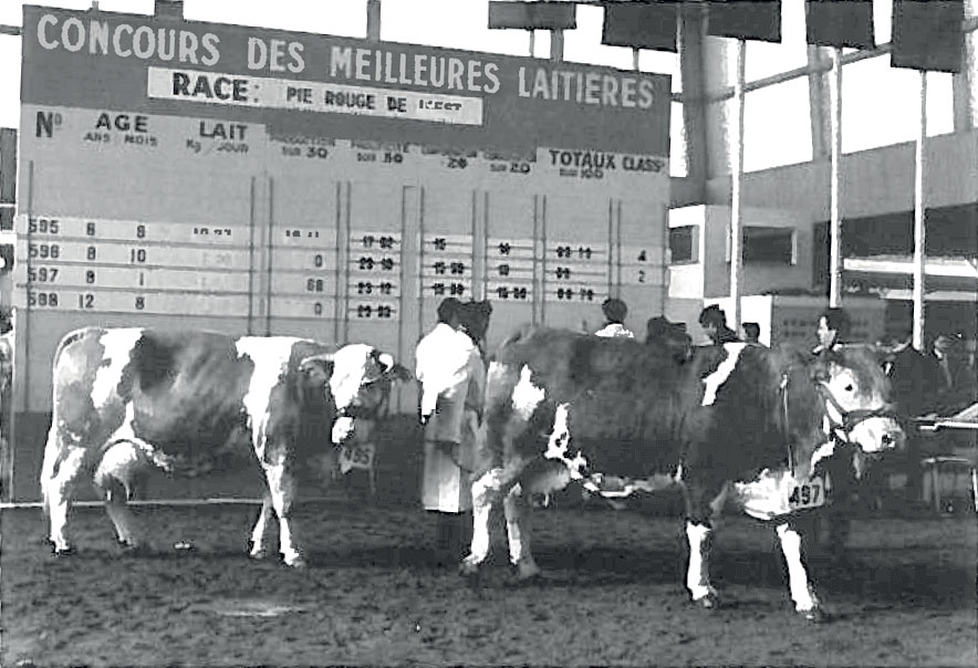Concours général agricole des meilleures laitières