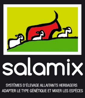 Logo Salamix