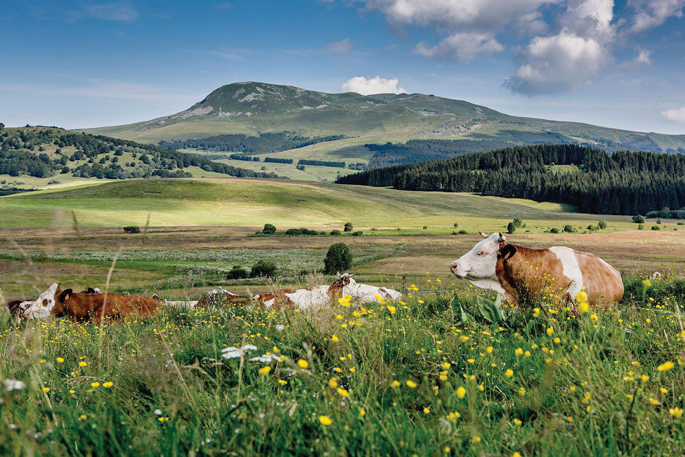 Elevage agro-écologique : mettre en cohérence les besoins des animaux et le potentiel du territoire