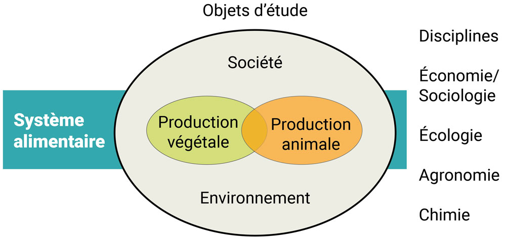 L’agroécologie est une approche systémique et pluridisciplinaire qui met en interrelation l’ensemble des éléments composant le système agri-alimentaire