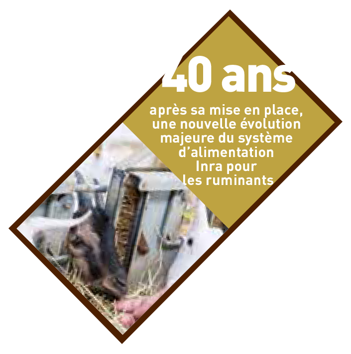 SYSTALI et INRAtion V5 : des innovations pour le rationnement