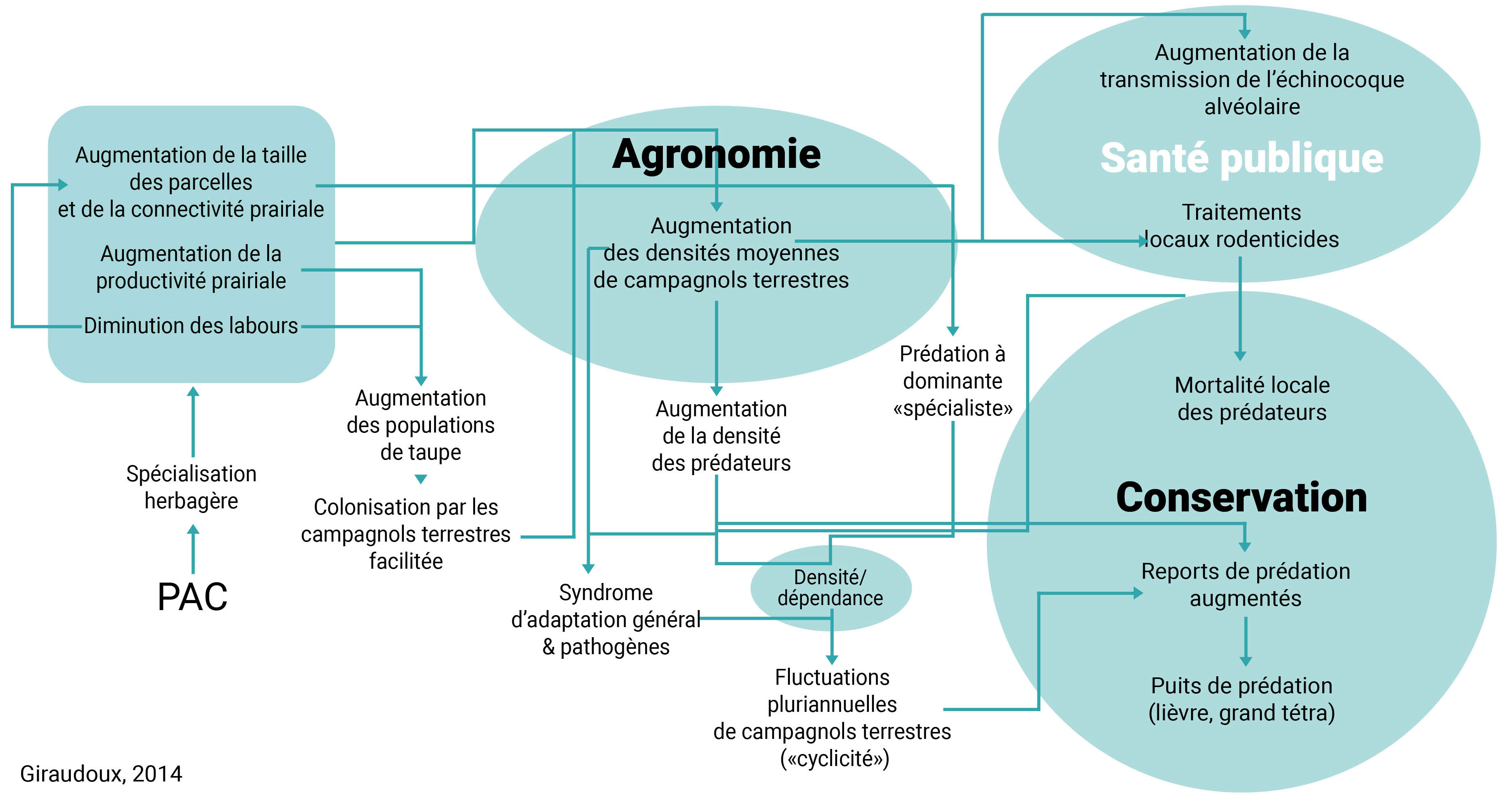 Comprendre les causes des pullulations pour agir en prévention
