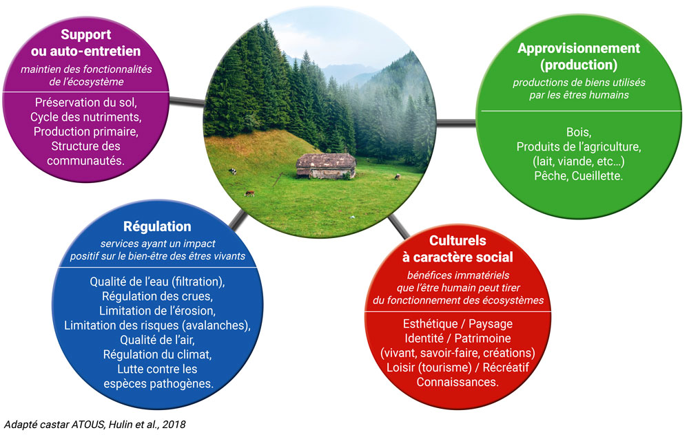 Schéma : Les 4 catégories de services produits par l’écosystème prairial et les systèmes herbagers