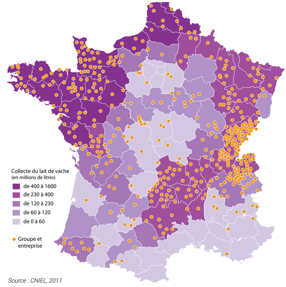 Collecte et transformation du lait en france