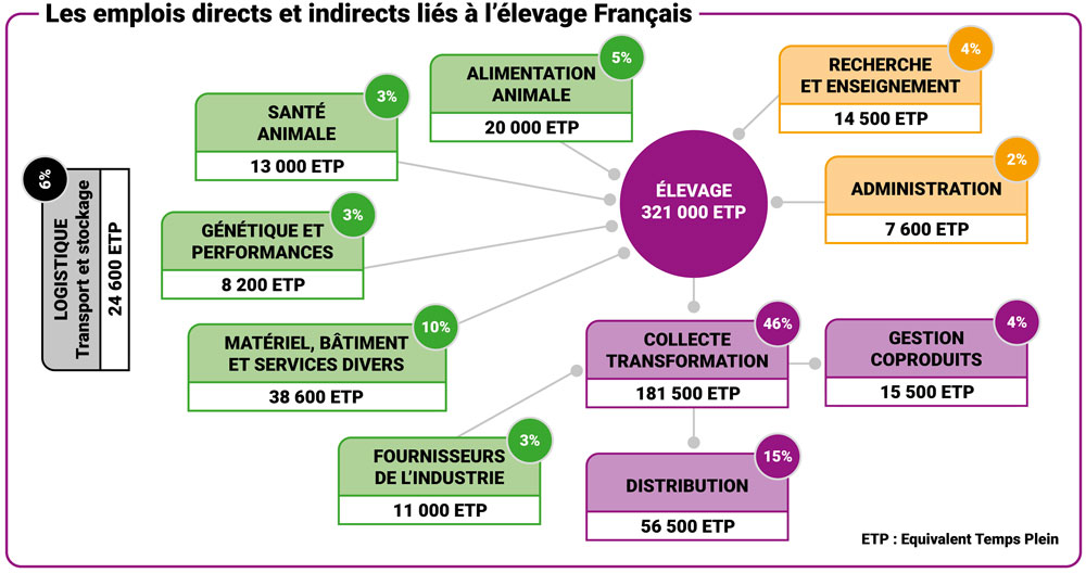 Les emplois directs et indirects liés à l'élevage français