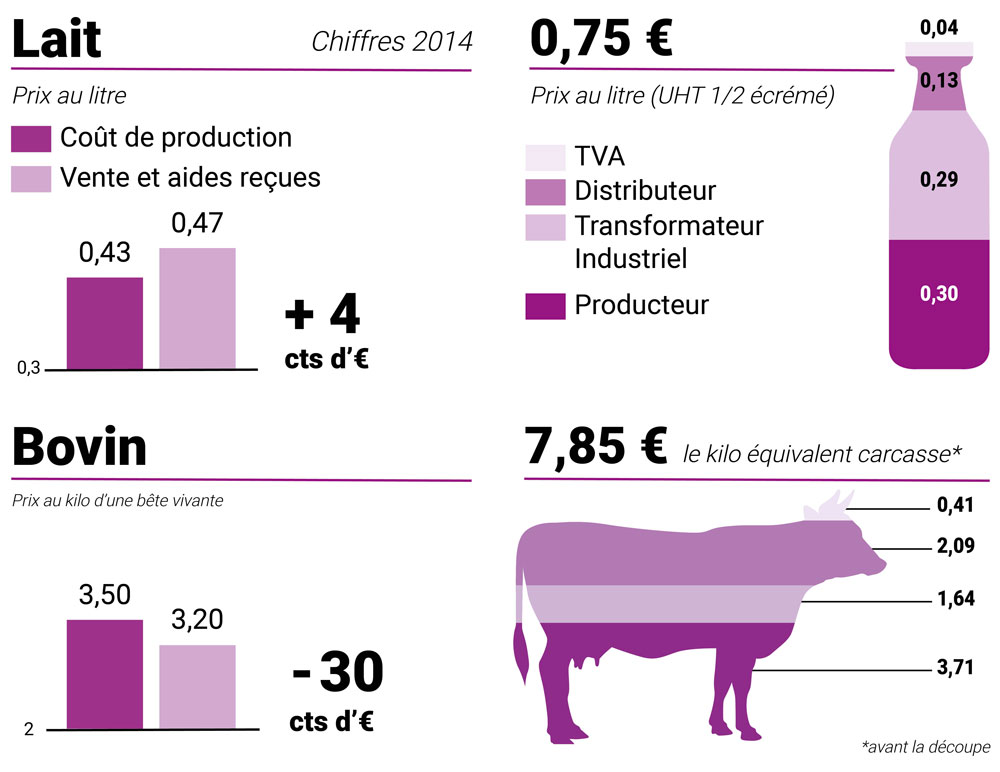 Coût et transformation de la production laitière