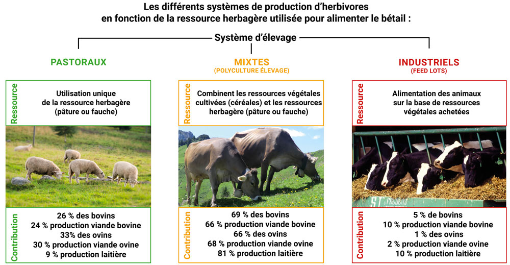 Les différents systèmes de production d’herbivores  en fonction de la ressource herbagère utilisée pour alimenter le bétail