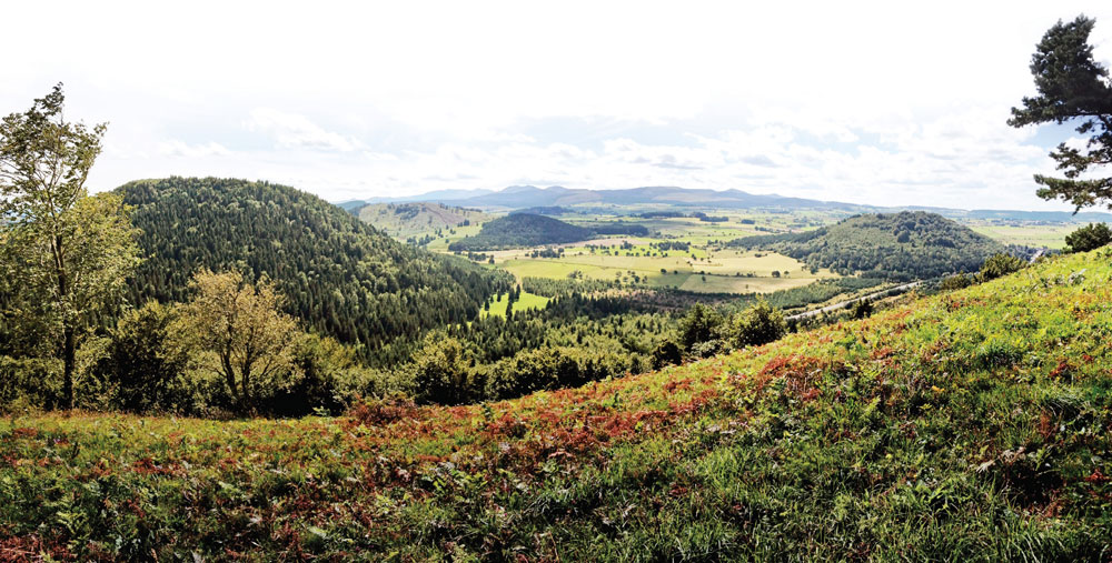 Le sommet du puy de Vichatel dont la vue a été dégagée grâce au retour des brebis du lycée agricole de Rochefort-Montagne