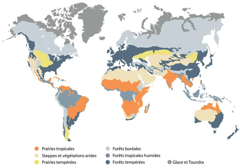 Carte mondiale des prairies natives