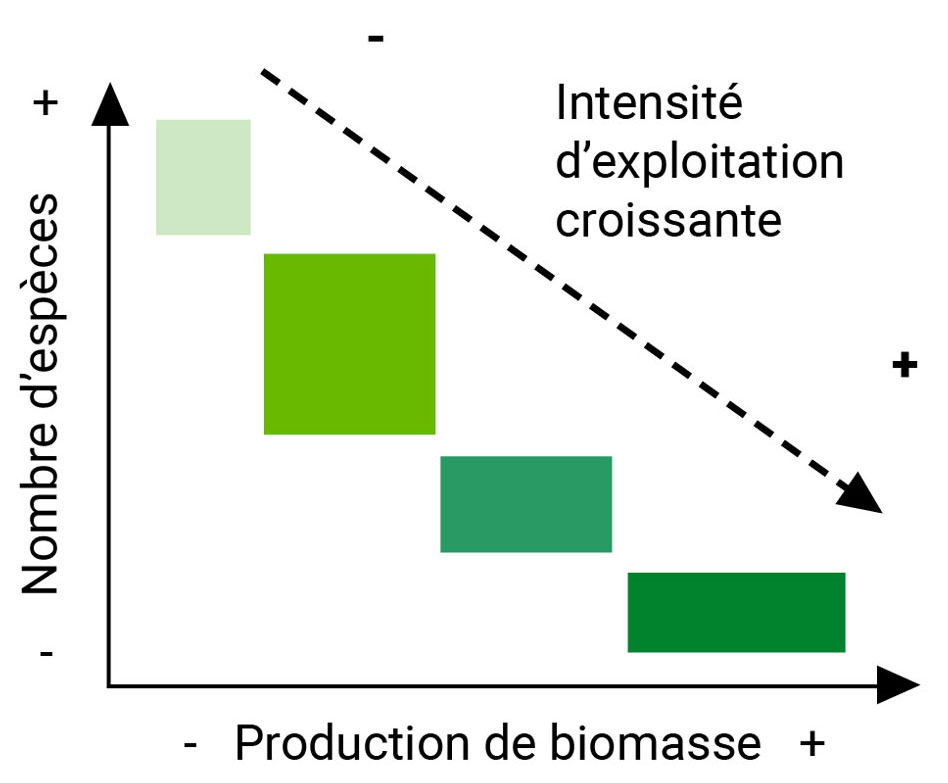 Lien entre pratiques et biodiversité