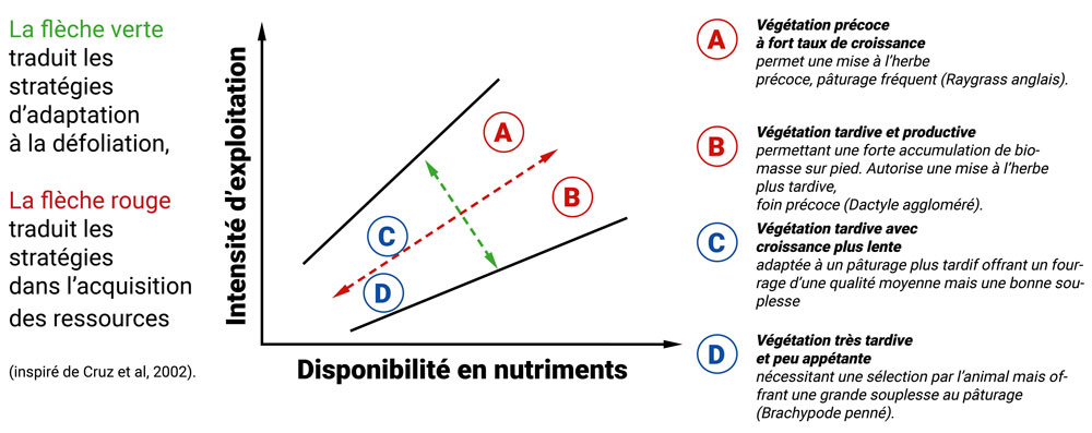 Stratégies des espèces prairiales et modes d'utilisation