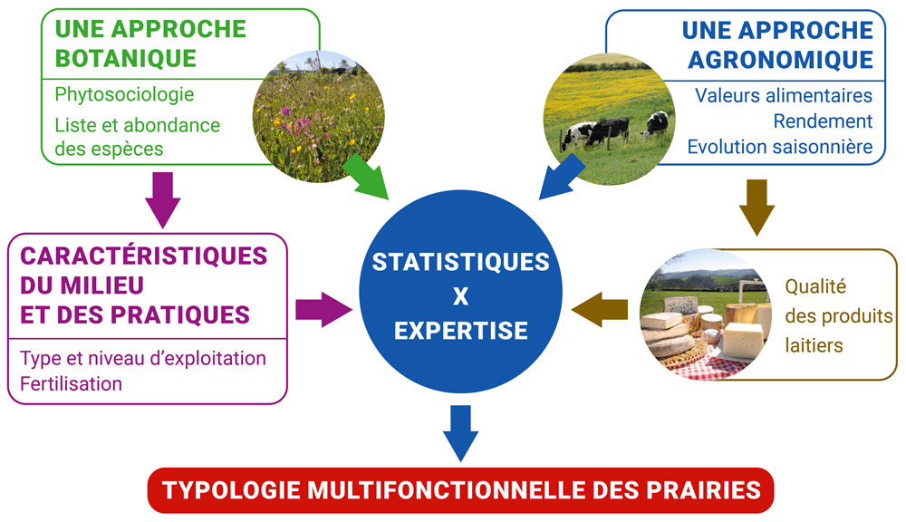 Démarche associant botanique et agronomie