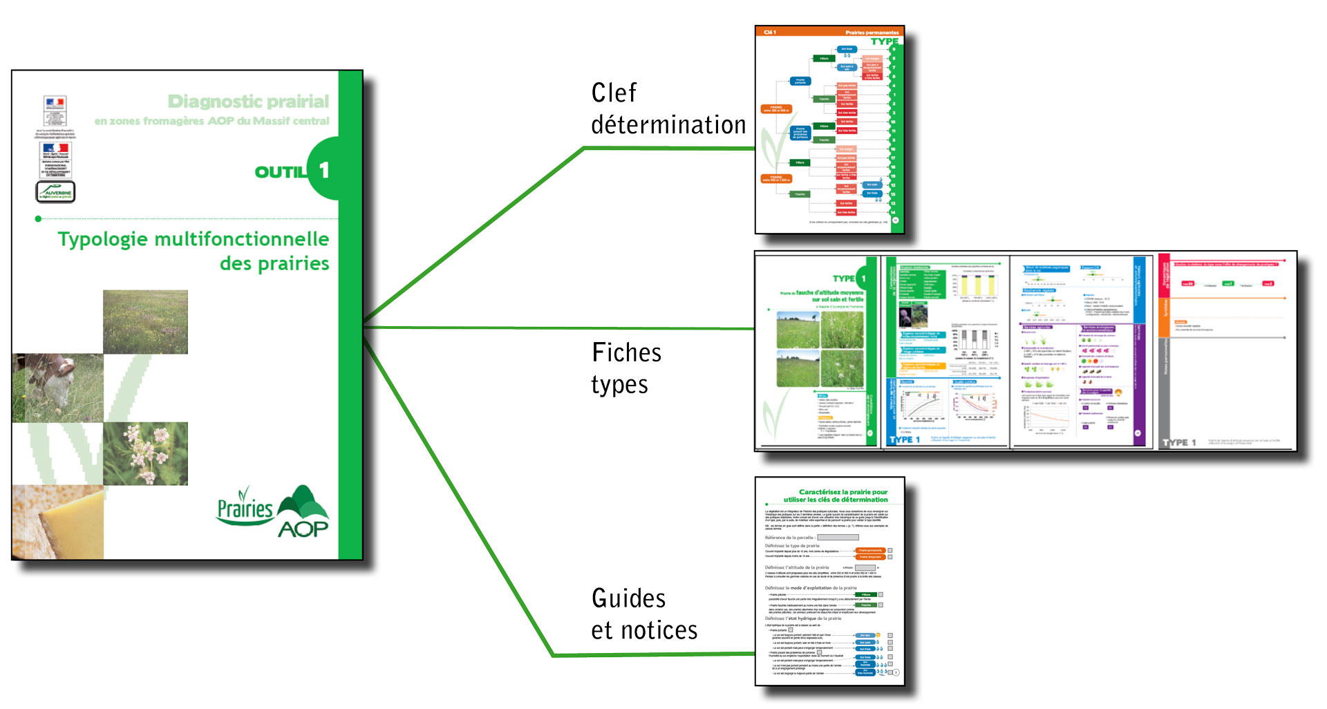 Fiches de typologie multifonctionnelle des prairies